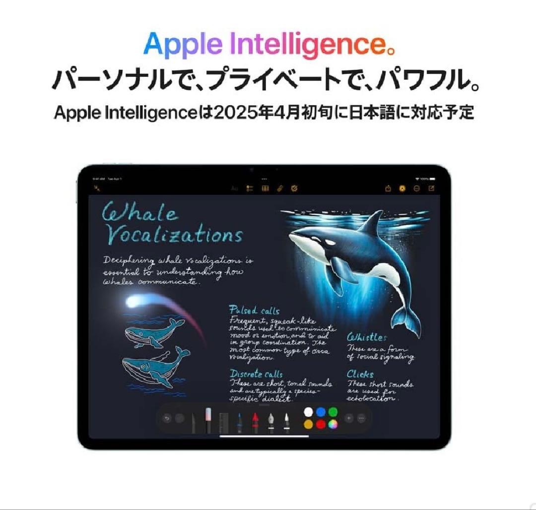 Apple iPad Air M3 11インチ本体（スペースグレー)