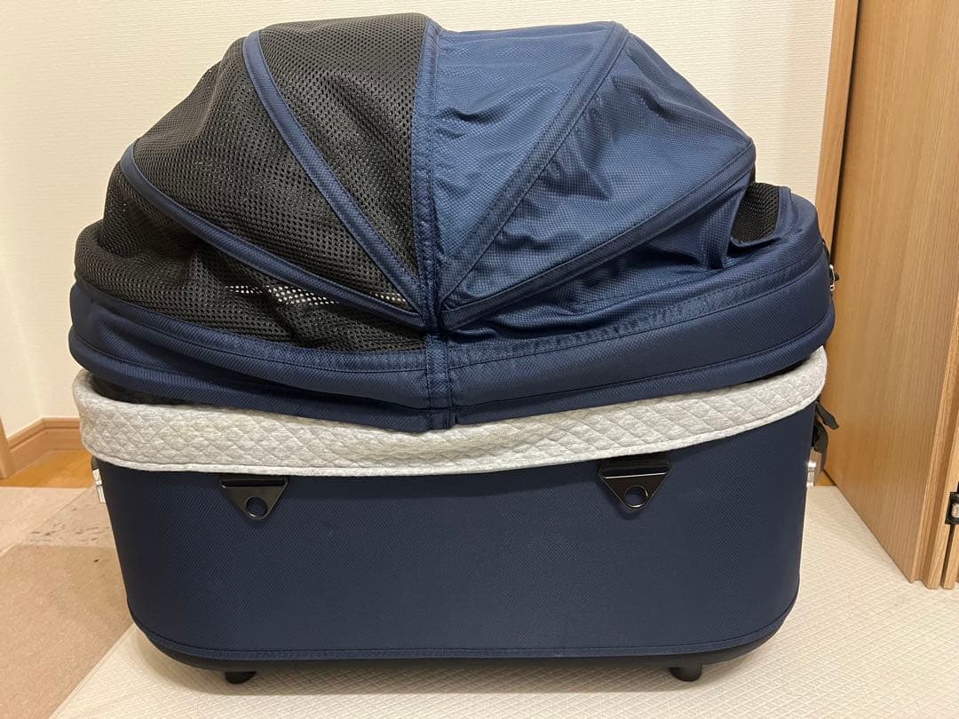 エアバギー ドーム3 ラージ　ネイビー(クルーズライン)