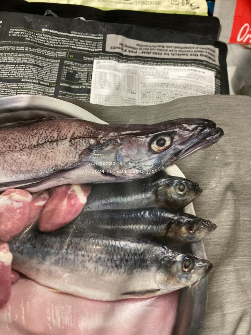 正規品カナダ産 Orijin オリジン シニア 6kg ドッグフード まとめ可