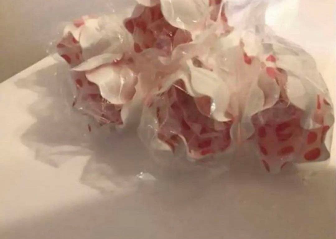 20点セット ❤︎ 新品 造花 HERVE GAMBS ＆ フランフラン