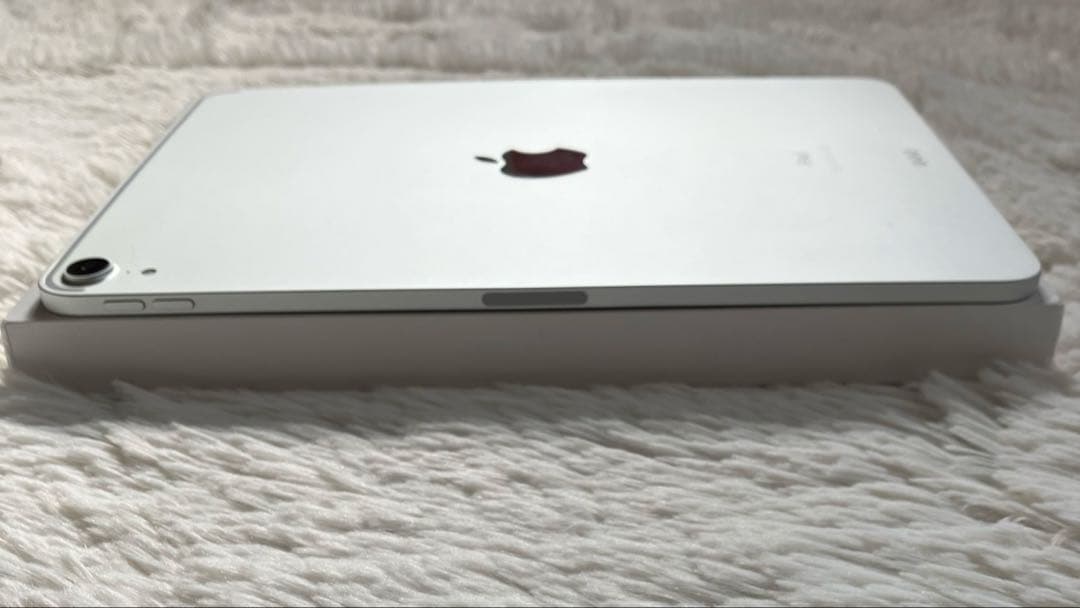 【早い者勝ち】iPad Pro 11インチ 第1世代 256GB 【すぐ発送】