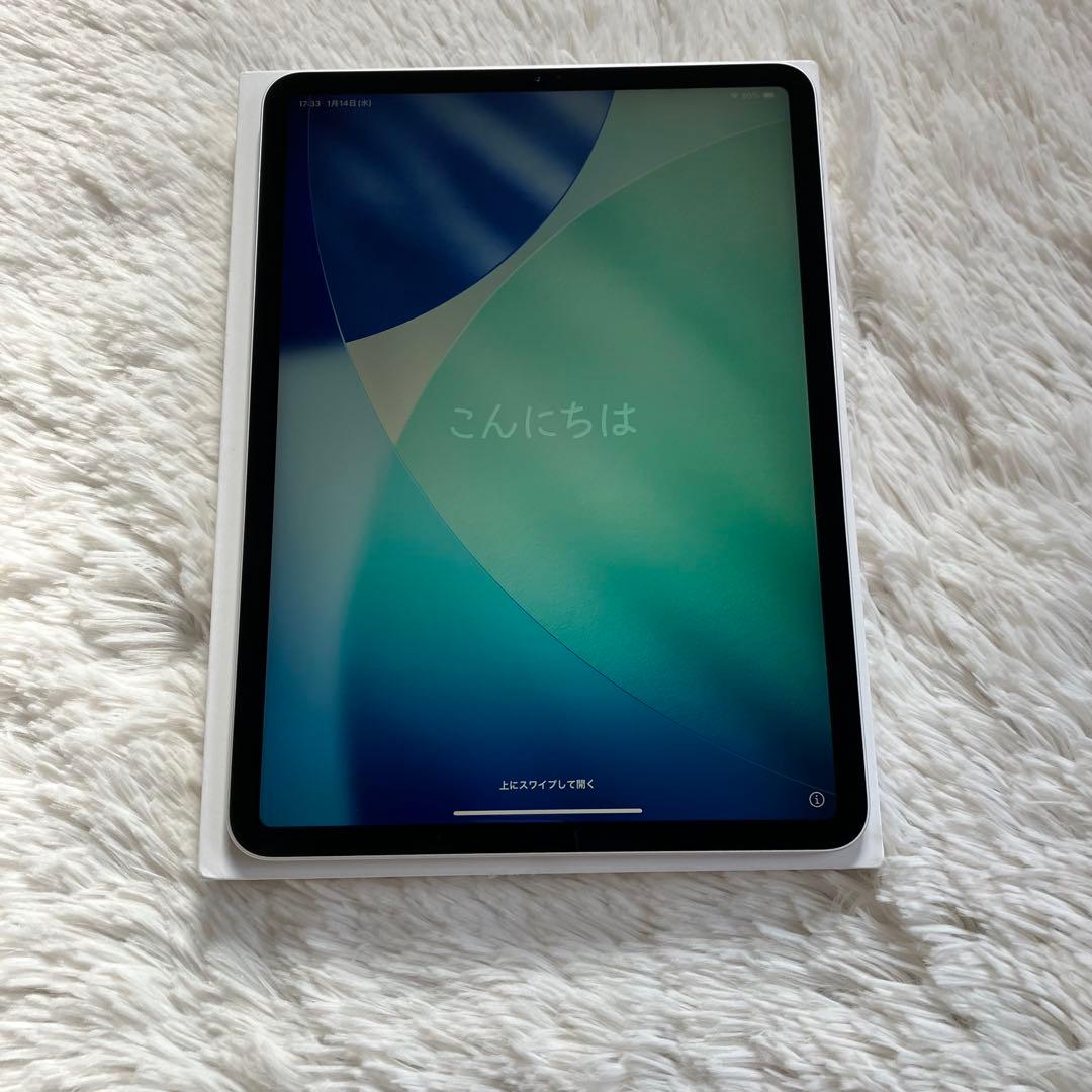 【早い者勝ち】iPad Pro 11インチ 第1世代 256GB 【すぐ発送】
