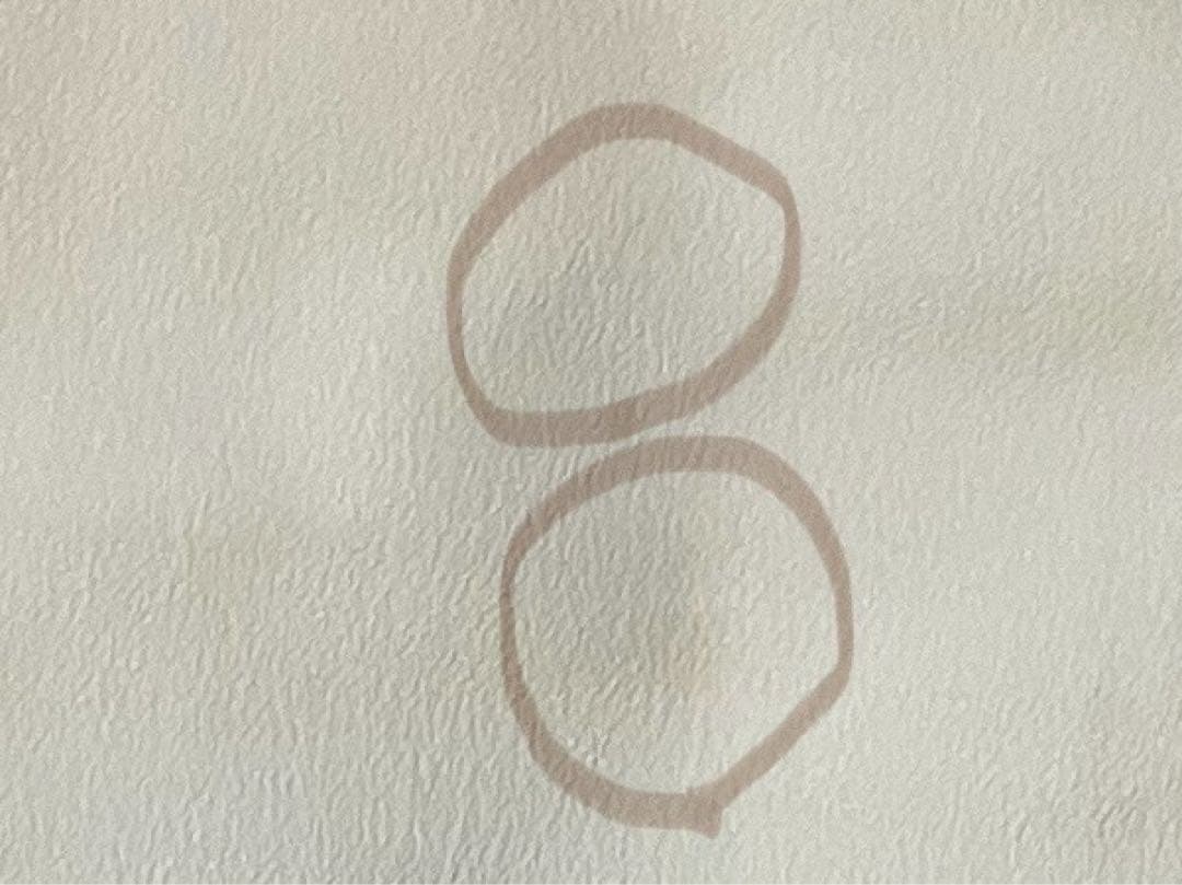 訪問着 手描き 落款有り 正絹 逸品