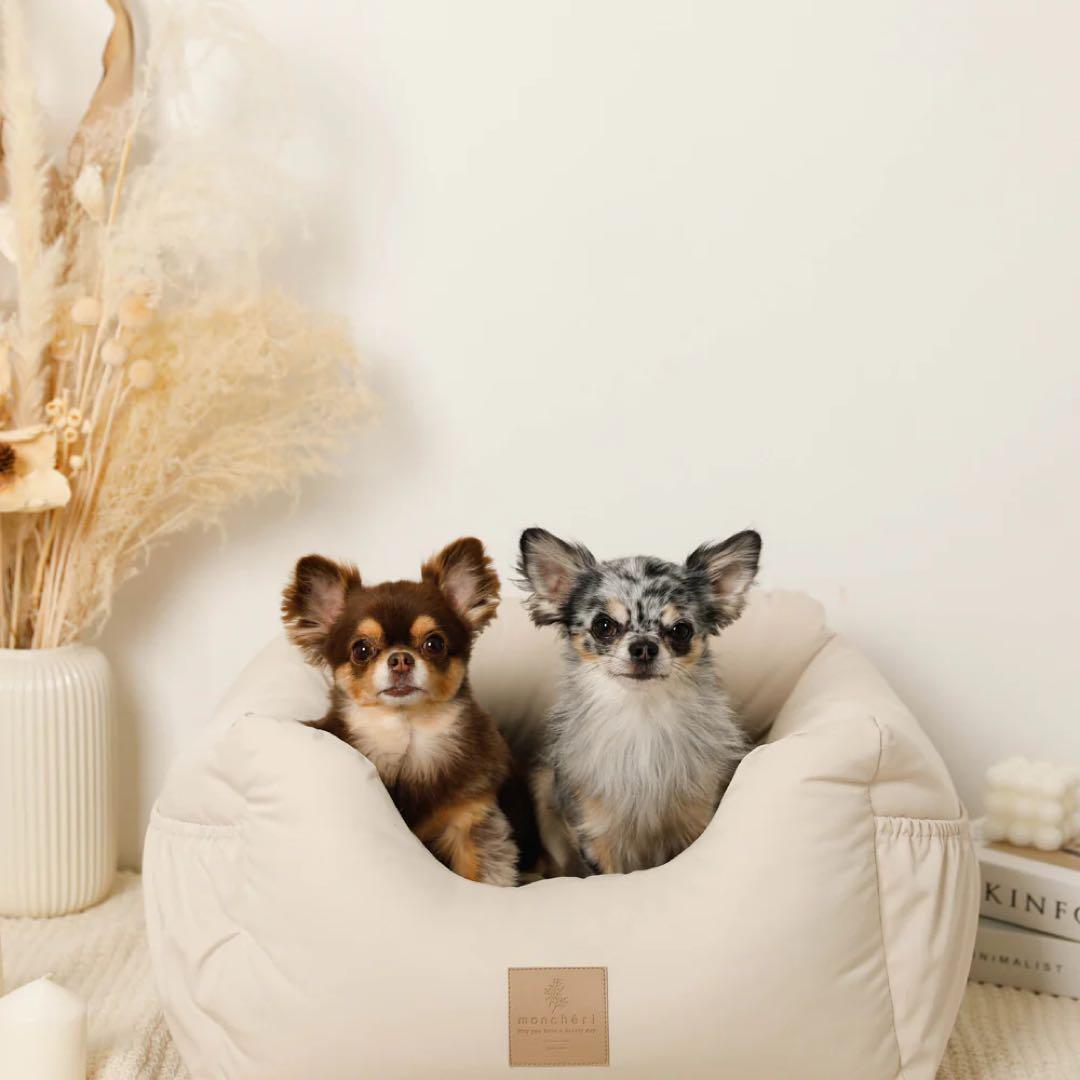 モンシェリ ドライブボックス