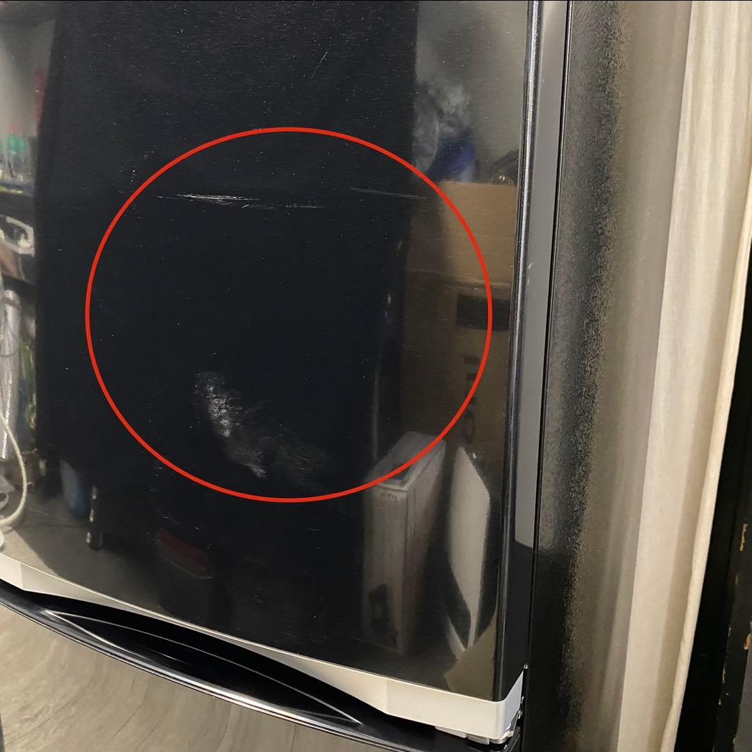 ジャパンブランド東芝！ちょっぴり大きめだから自炊さんに♪2ドア冷凍冷蔵庫153L