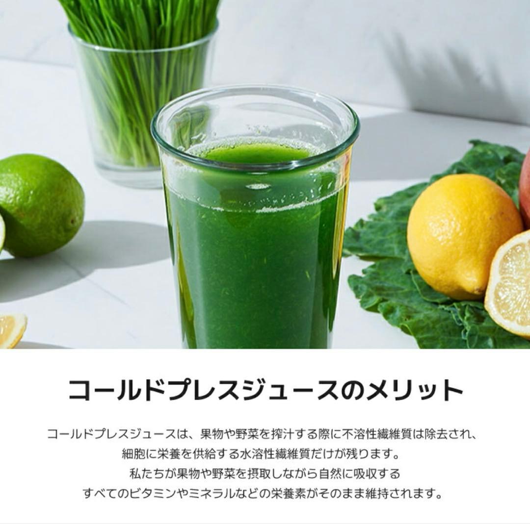 【極美品】Kuvingsクビンス ホールスロージューサープロCS520SM業務用