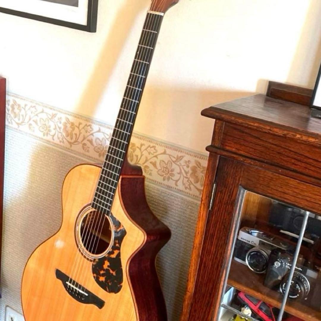 エレアコJames J-900/C オール単板 美品 ギグバック付属