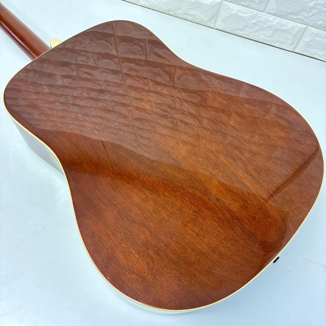 History アコースティックギター HFG1TS