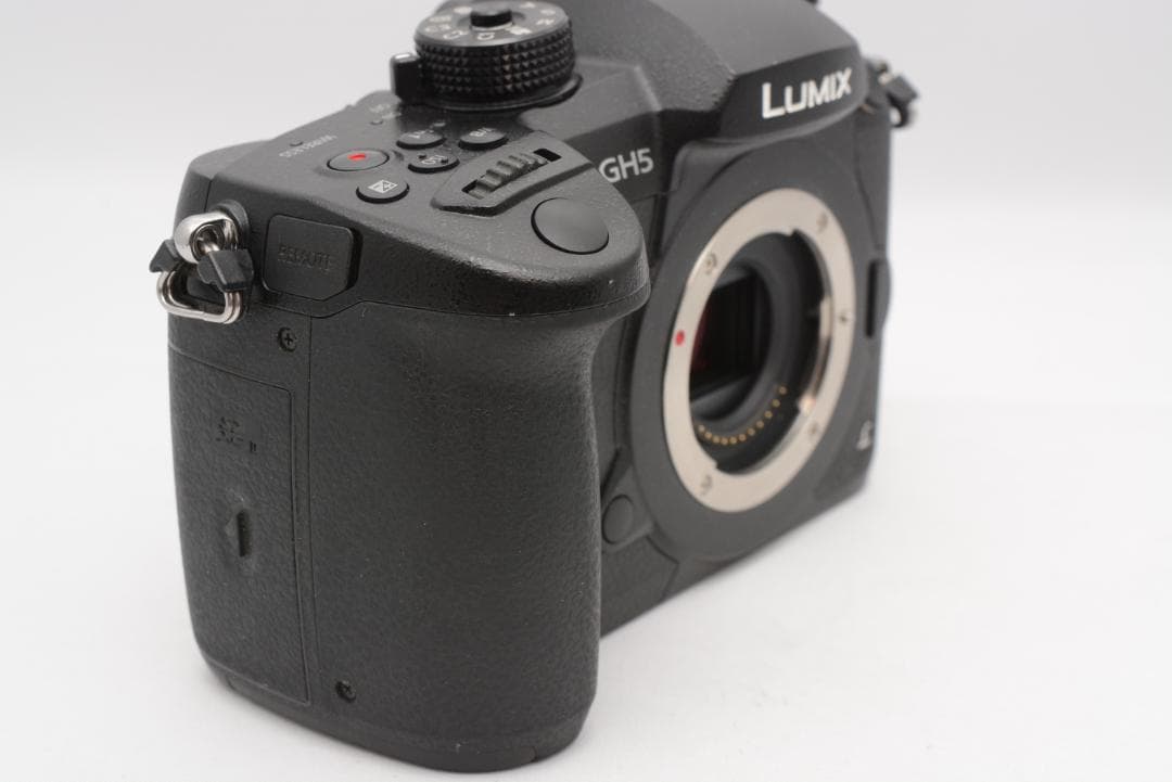 Panasonic LUMIX DC-GH5 パナソニック ミラーレス一眼カメラ