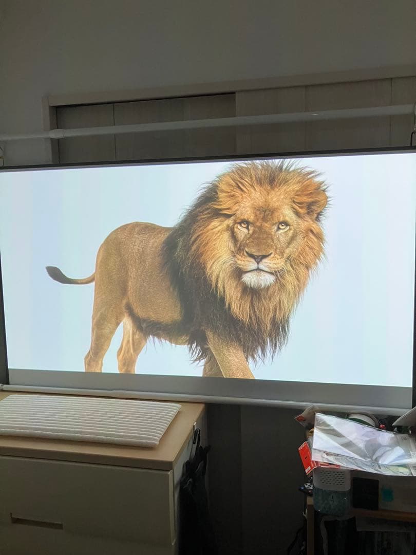 （リファービッシュ品）popIn Aladdin2 Plus