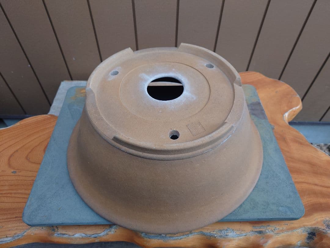 盆栽　鉢　勝山　直径41cm