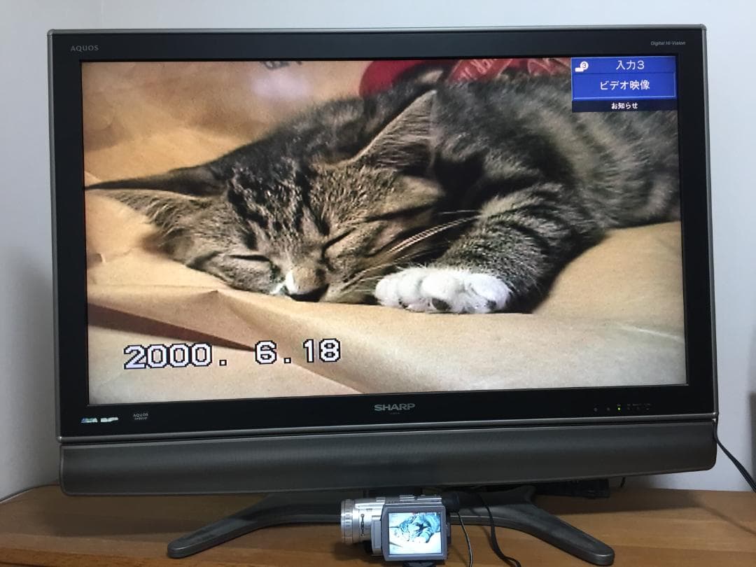 撮影再生ダビングOK　Panasonic NV-GS100　付属品あり　大画面