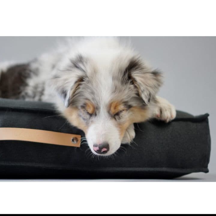 MØVIK 犬用クッション ライトアンスラサイト Mサイズ　大型犬