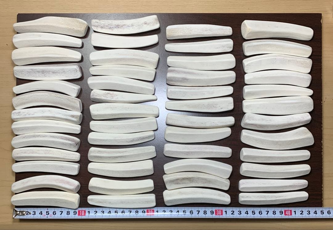 No.2189『鹿角4つ割り50本セット』鹿の角　エゾ鹿　鹿角　蝦夷鹿