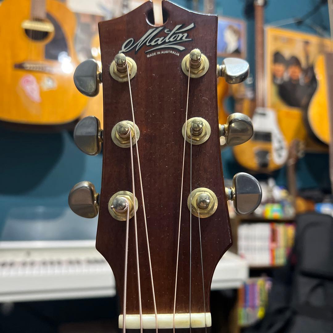 Maton 秦基博　シグネーチャーモデル　アコースティックギター