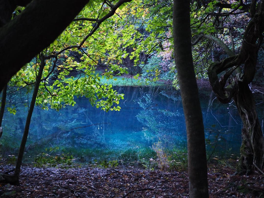 OLYMPUS OM-D EM5 mark llミラーレスカメラ 本体とレンズ付