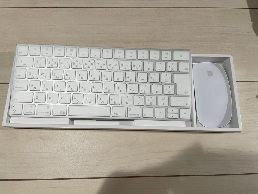 Apple Magic Keyboard & Magic Mouse 2 セット