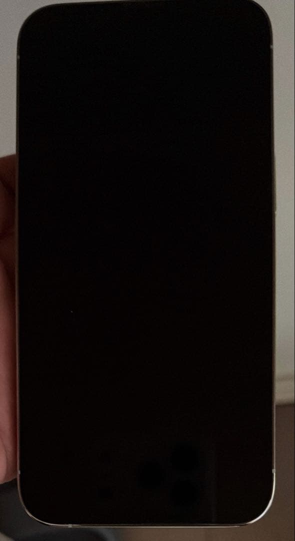 iPhone 13 Pro 256GB シルバー MLUP3J/A