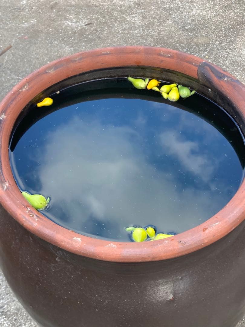 存在感抜群！時代物 陶器の大型甕 古い壺 。茶褐色。和モダン 60センチ