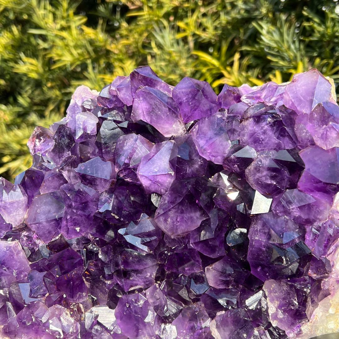 ✳️✨最高峰の濃紫ハイパワー✨極大結晶 レインボー アメジストクラスター 天然石