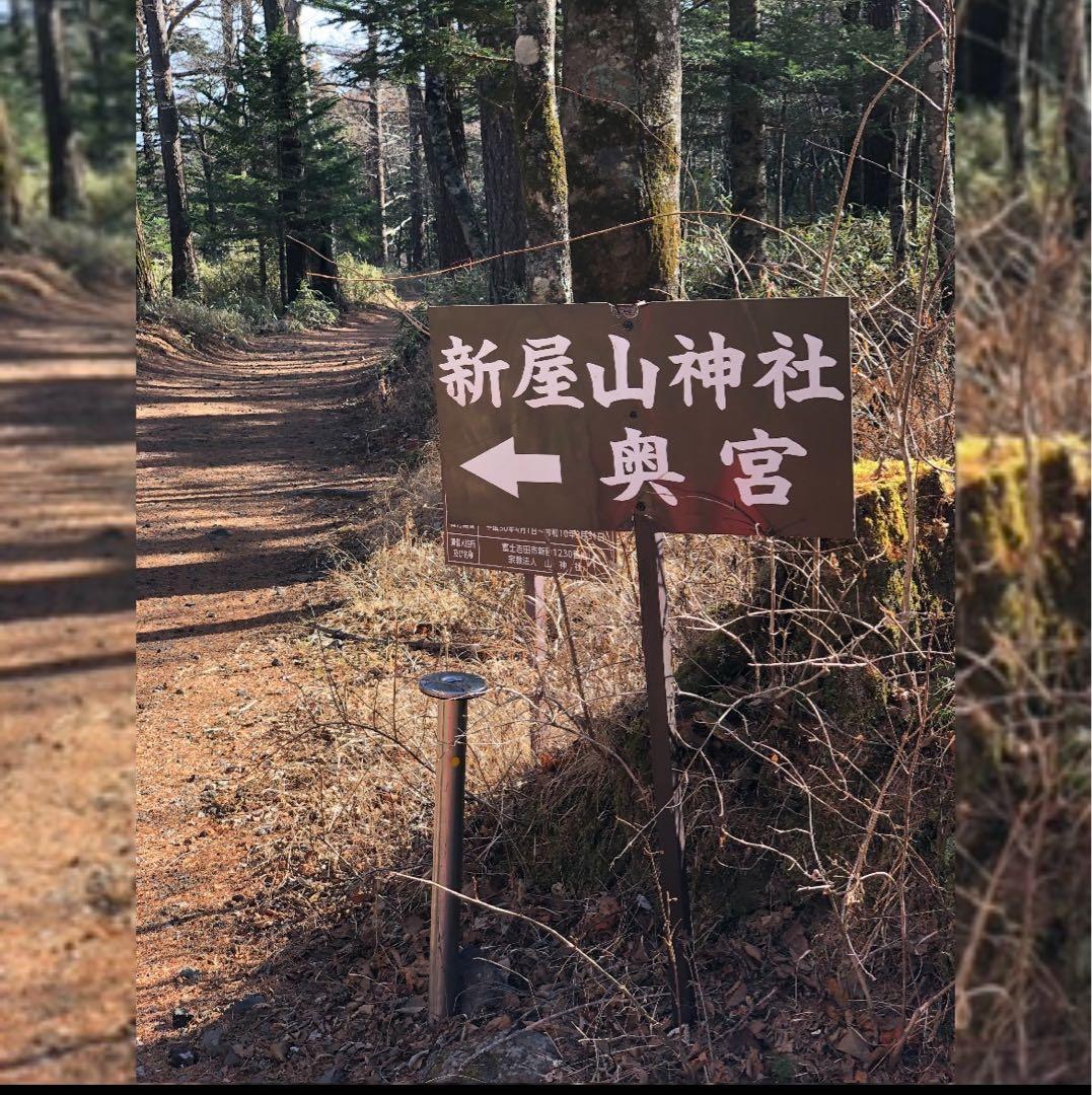 【水わらび】⭐️最強財運〜龍神様⭐️イケメン紫龍　ずっしり801g