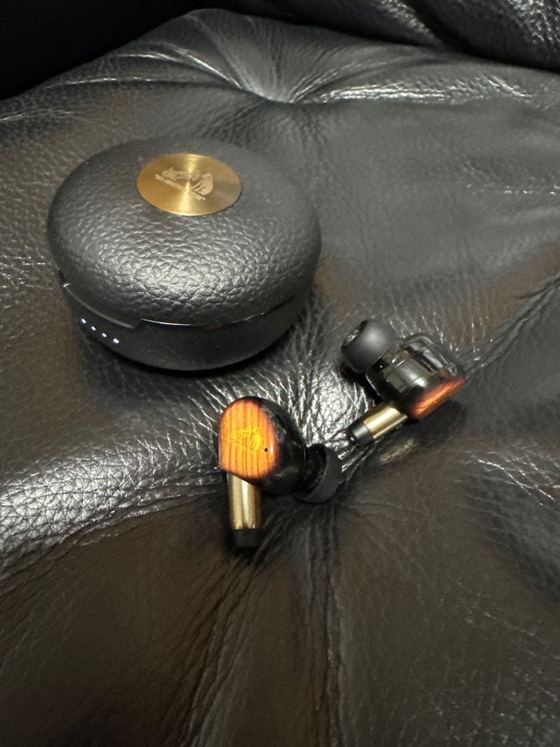 イヤホン Victor WOOD master