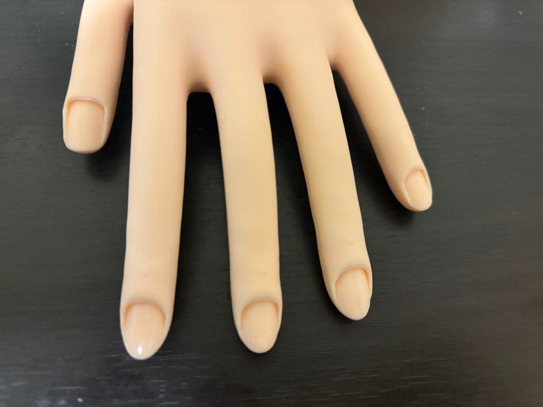 JNEC 認定モデルハンド【骨折ナシ】