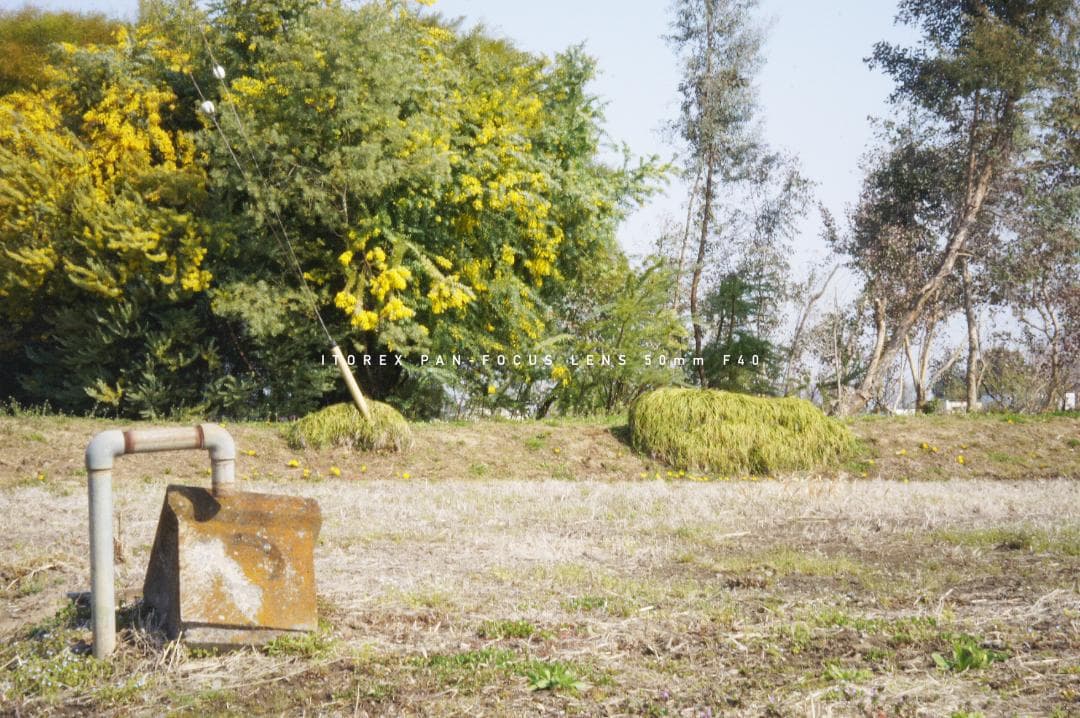 ★激レア★イトレックス PAN-FOCUS LENS 50mm Exakta