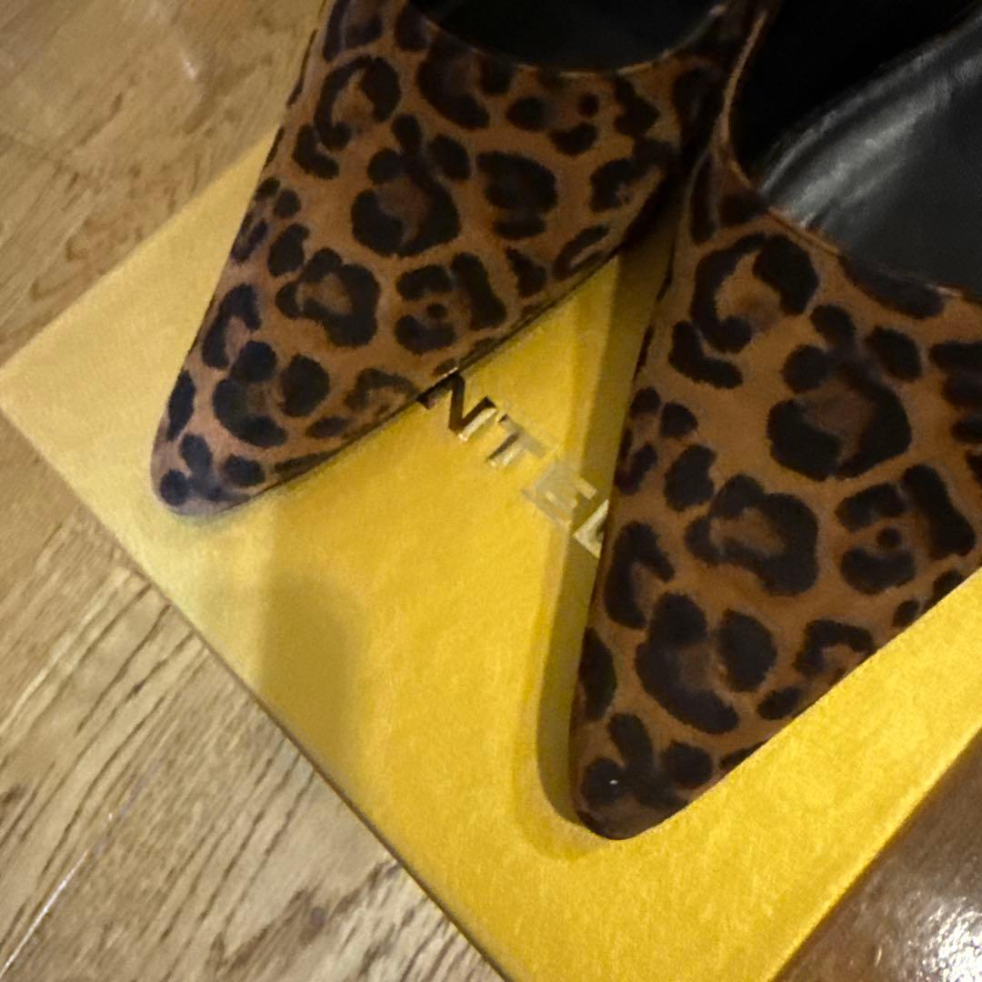 【数時間のみ使用】【BRENTELLA】AUDREY パンプス