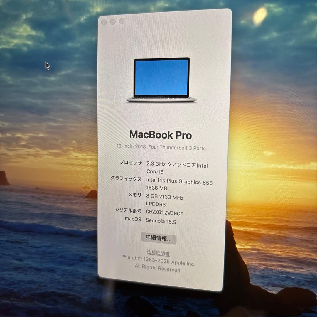 MacBook Pro/2018/SSD512GB/メモリ8GB/箱あり
