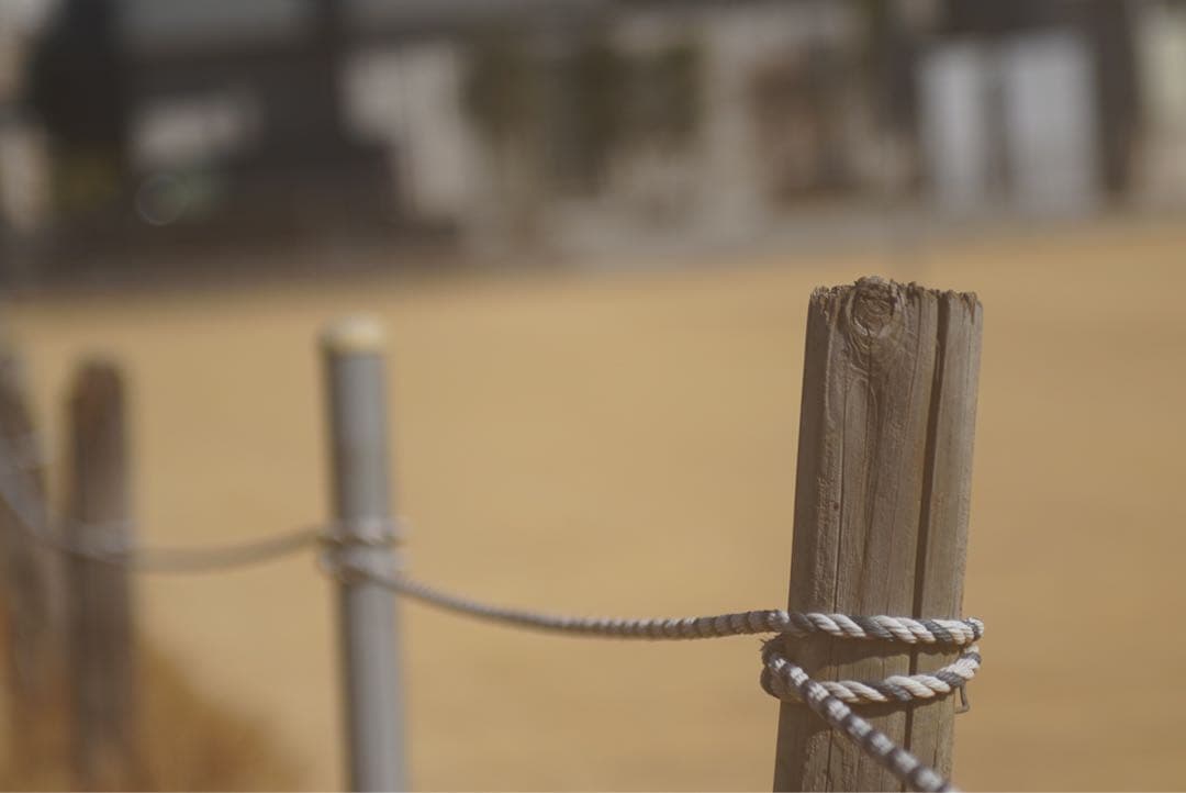 EF 28-70F2.8L USM 作例あり