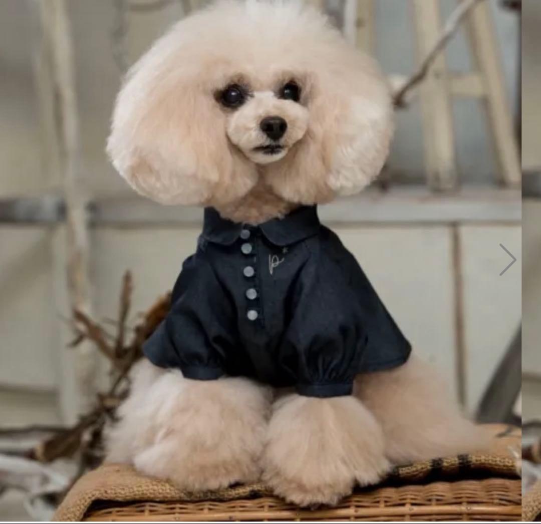 犬服・アクセサリー pp* closet