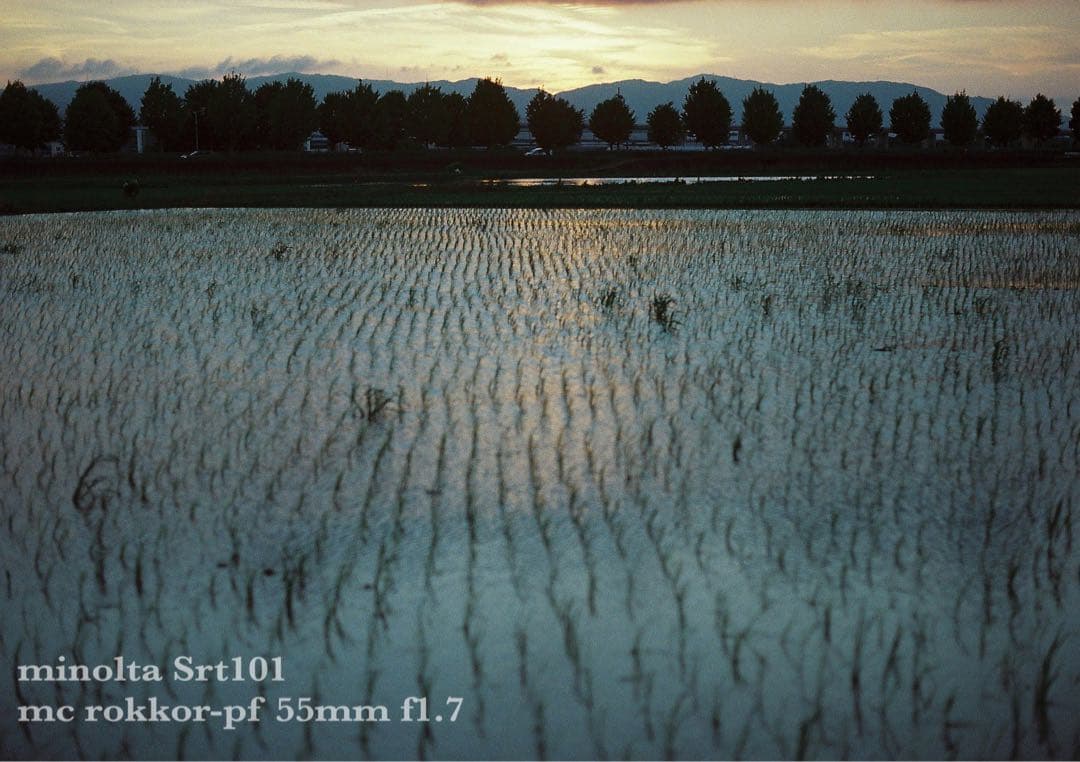 minolta srt101 ★美品＊完動品＊初期保証★緑のロッコール★作例多数