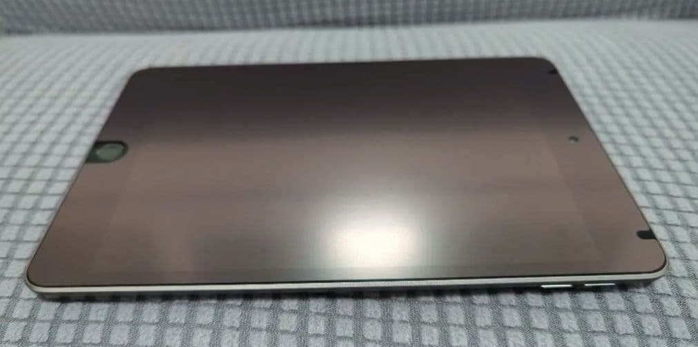 iPad Mini 第5世代 64GB Wi-Fi モデル