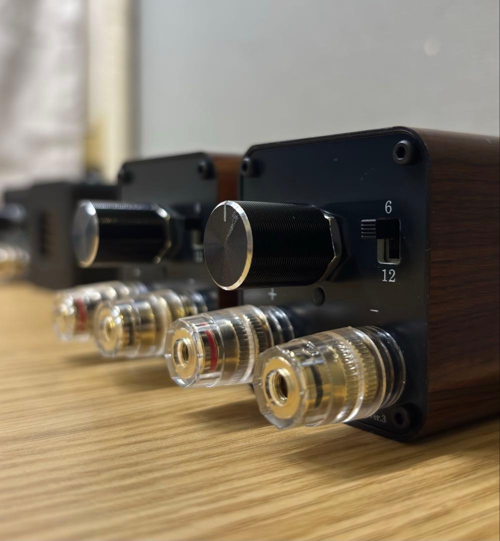 新モデル　Lupinus Audio AMT-TP3 　スーパーツイーター