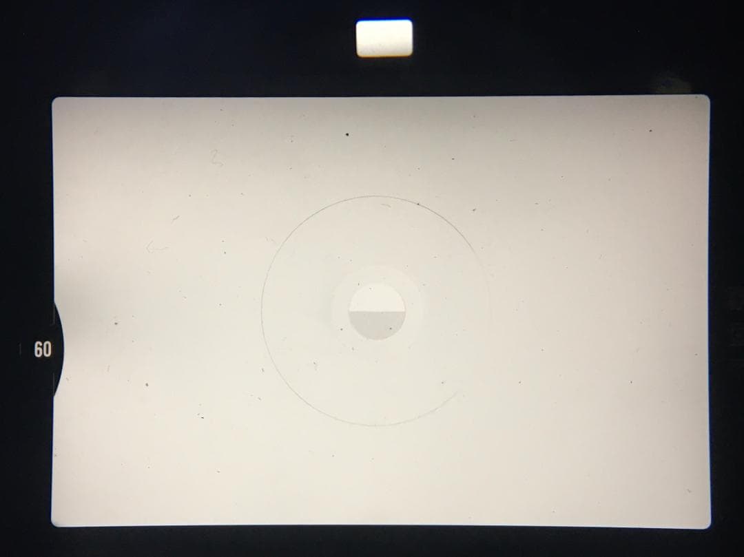 【動作確認済】Nikon New FM2 50mm f/1.8 フィルムカメラ