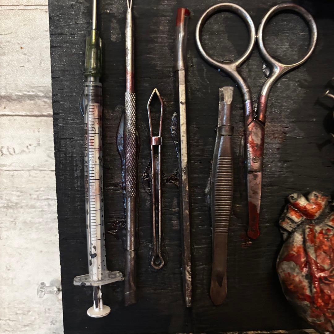 【Special Price】 赤子解剖オブジェ