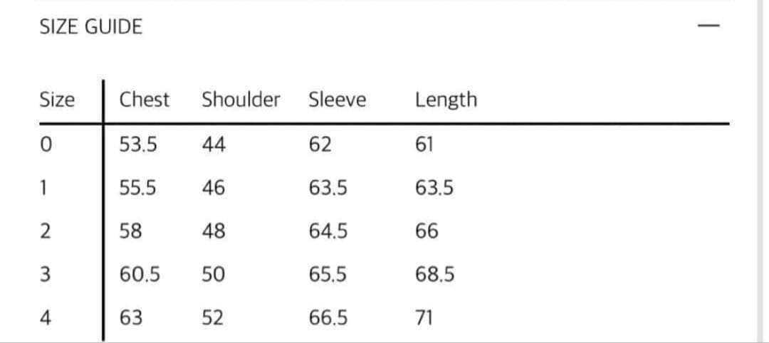 SAN SAN GEAR ダウンジャケット