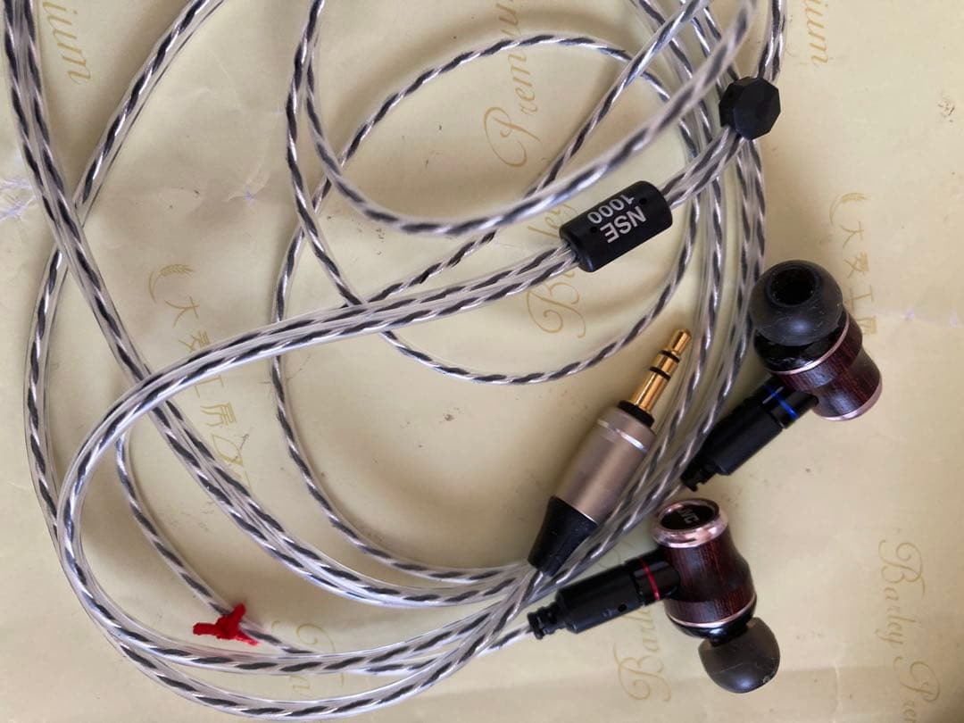 JVC HA-FW02 リケーブル可能イヤホン