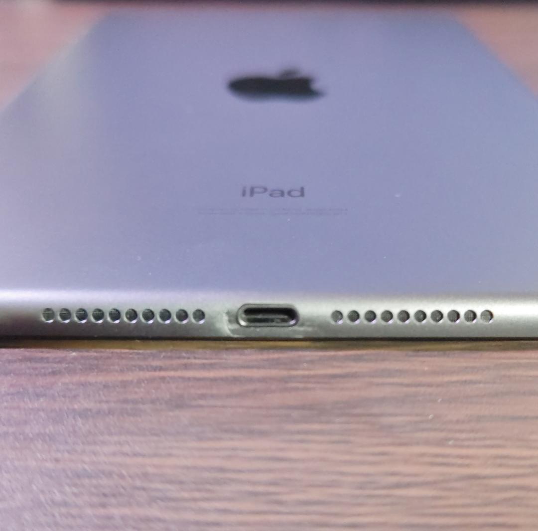 iPad mini 第5世代 Wi-Fi + Cellular スペースグレイ