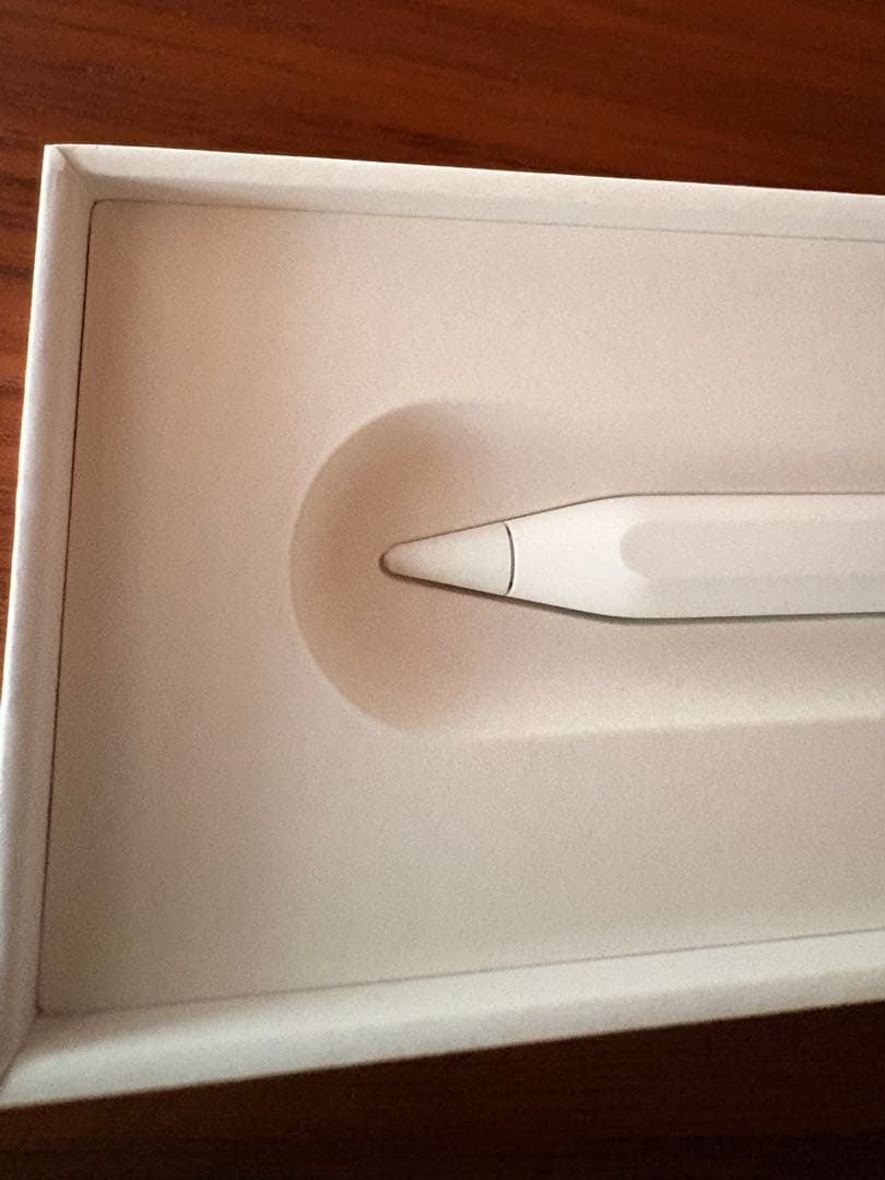 純正 Apple Pencil USB-C 箱有り アップル ペンシル