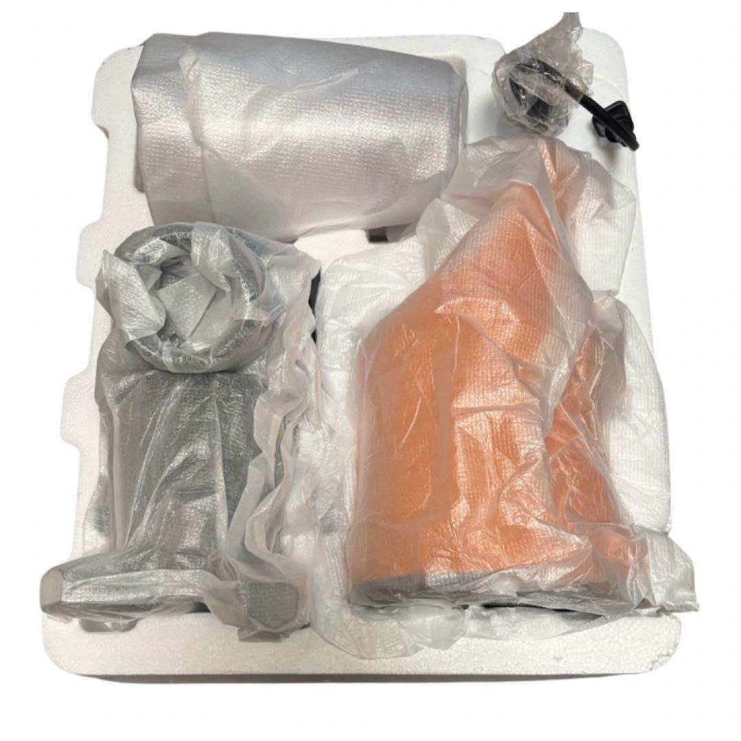 未使用 シャープ スロージューサー ヘルシオ ジュースプレッソ EJ-CF10A