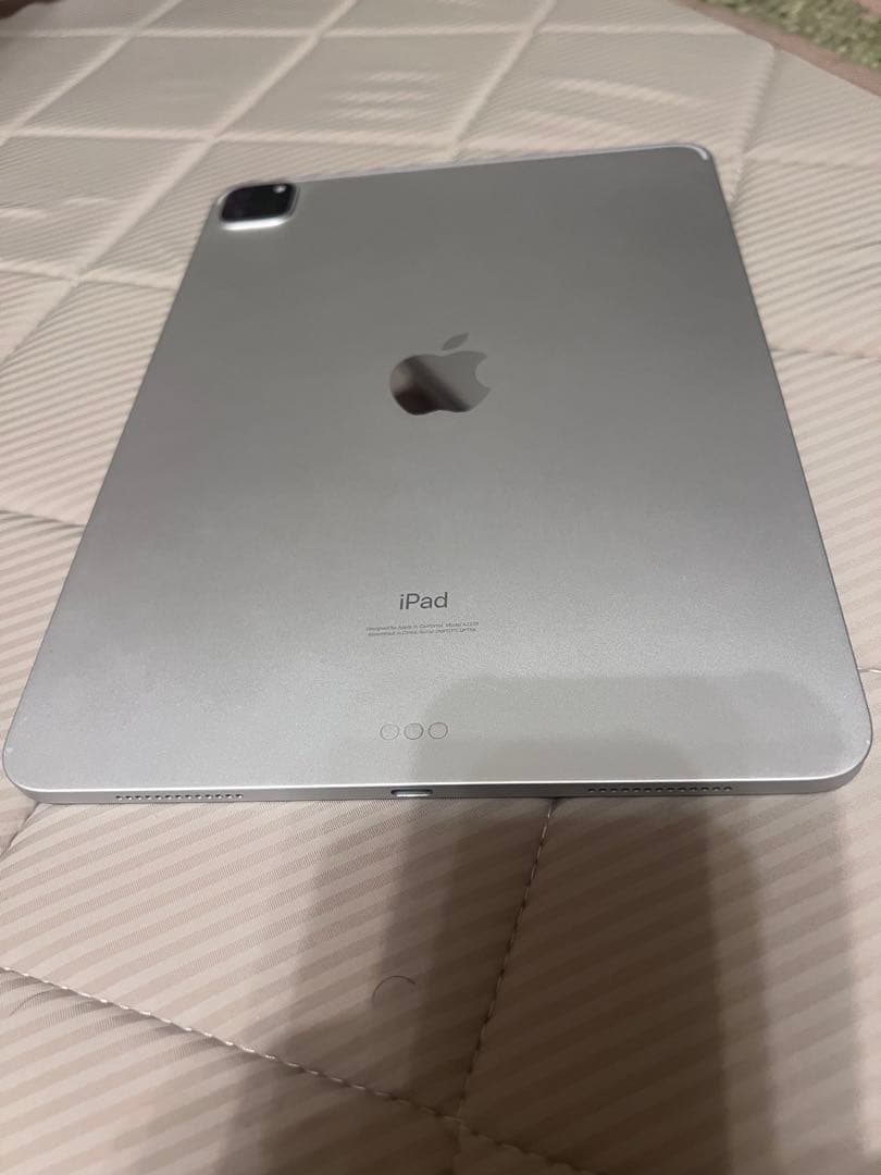 Apple iPad Pro 11インチ 第二世代シルバー 本体とPencil