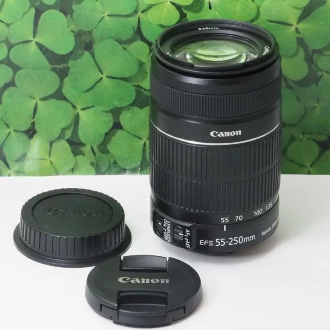 【美品】スマホへ転送も可 一眼で自撮りOK キャノンKissX5ダブルレンズ