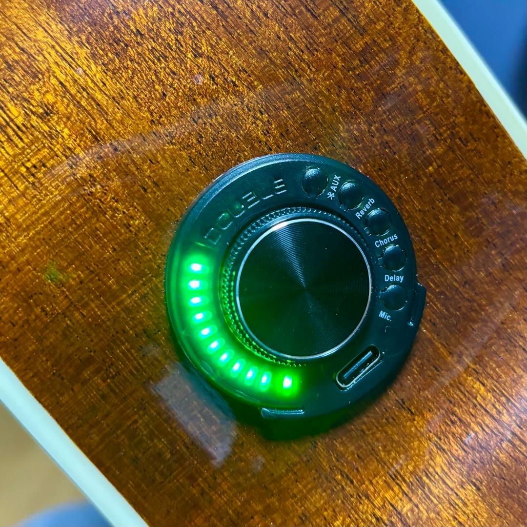 美品【トランスギター】James JF400-NAT ケース付き（値下げ中）