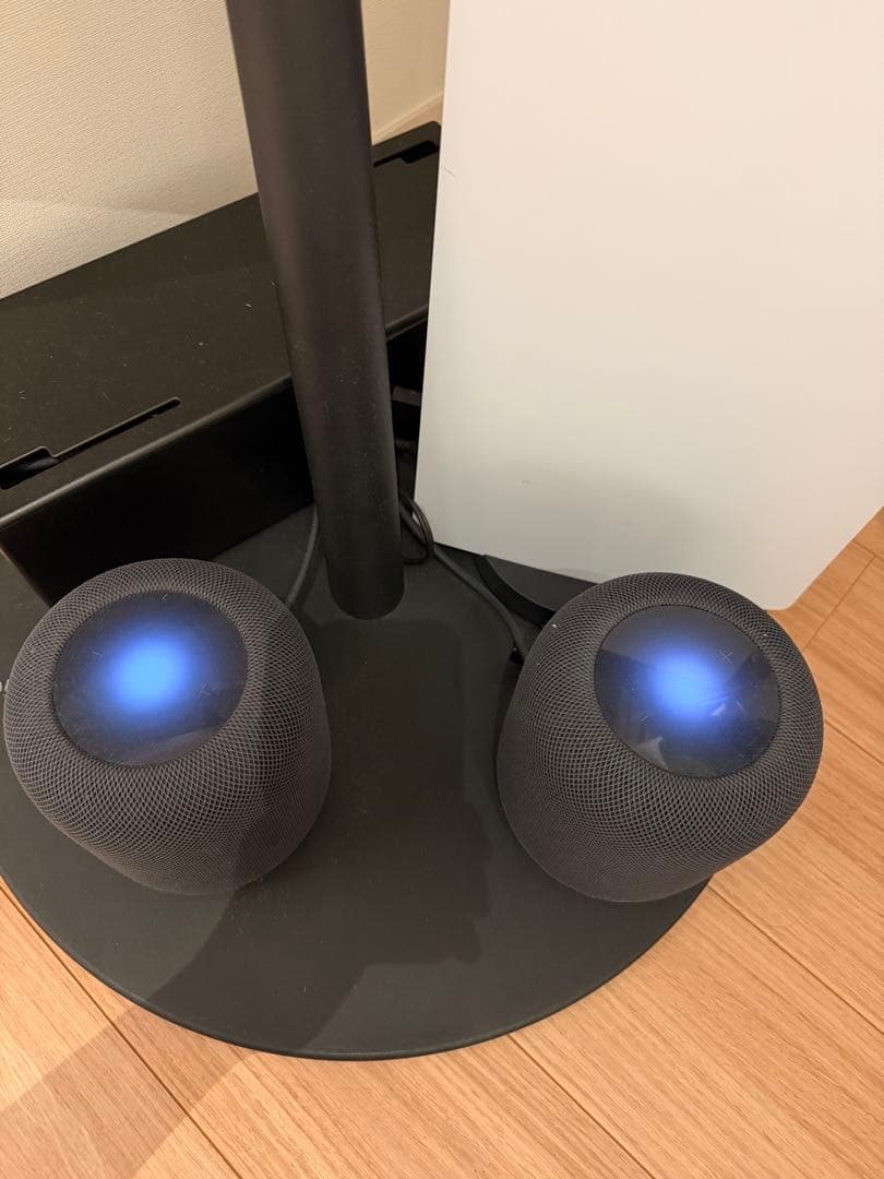 Apple pod 第2世代 x２台セット