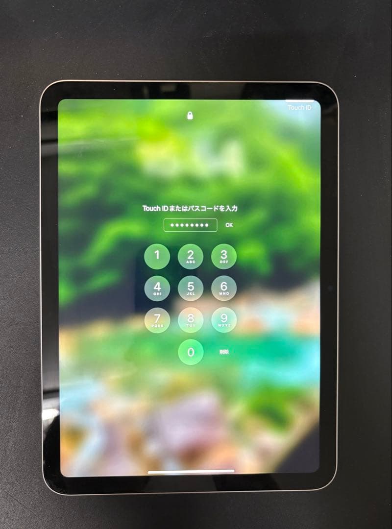 Apple iPad 本体 シルバー　第10世代