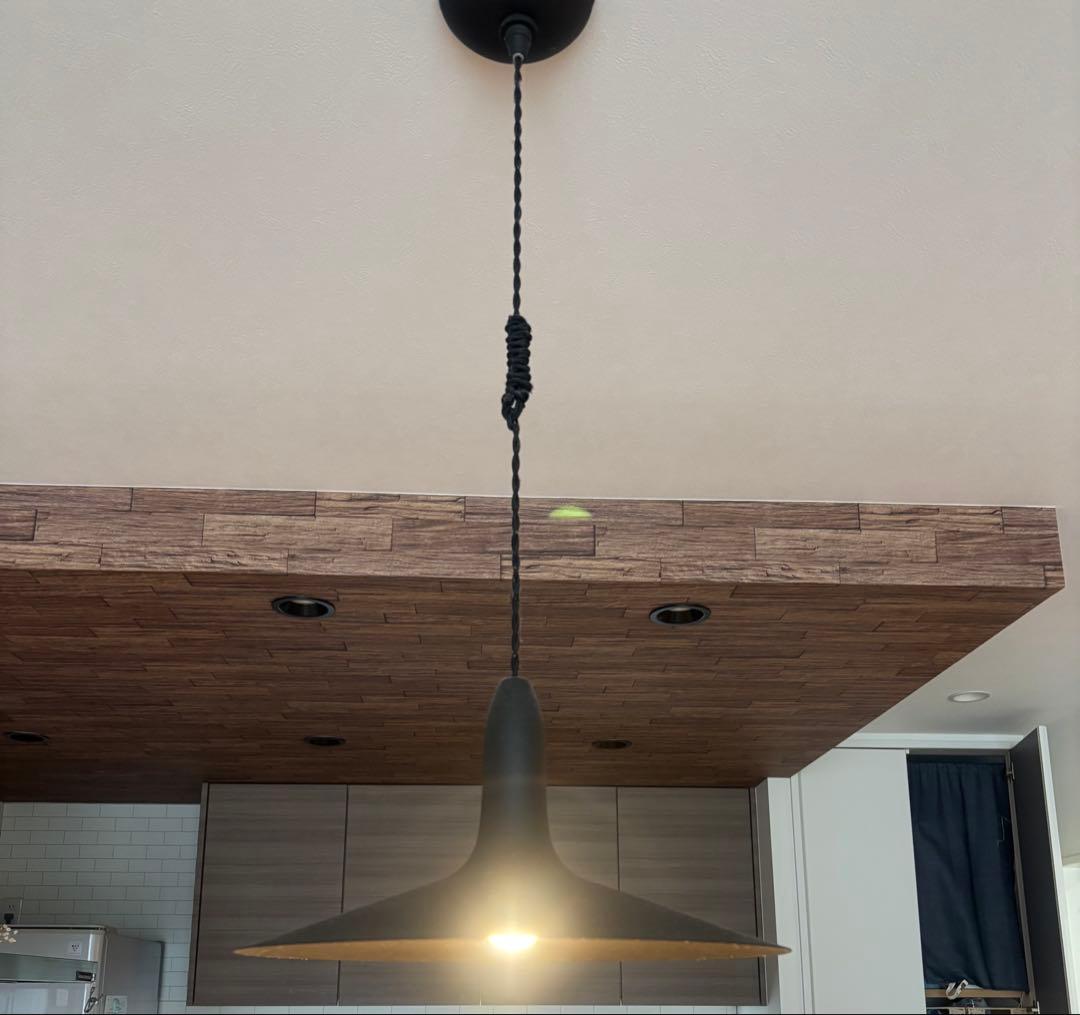 ARTWORKSTUDIO ブラック ペンダントライト