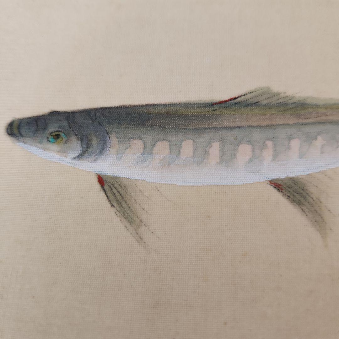 日本画家金島桂華の山女の双魚