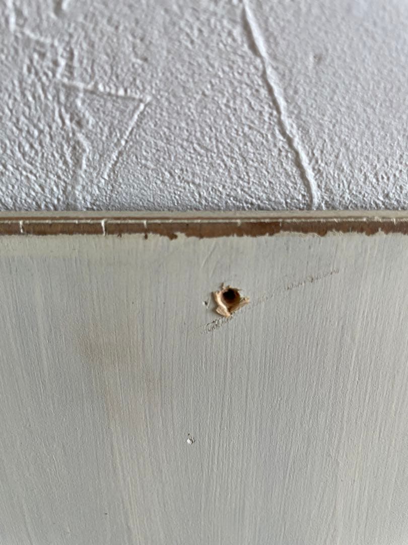 絵本ラック　本棚　飾り棚　壁付け　絵本収納棚